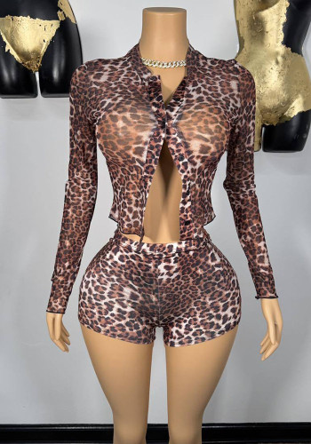 Women Sexy Long Sleeve Leopard Top and Shorts Two Piece Set