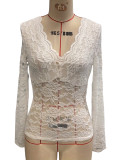 Women's Elegant V-Neck Solid Long Sleeve Slim Fit Pullover Lace Top