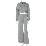 Women's Autumn Winter Fashion Zipper Hooded Crop Top Slim Casual Pants Two-Piece Set