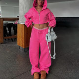 Women's Autumn Winter Fashion Zipper Hooded Crop Top Slim Casual Pants Two-Piece Set