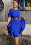 Round Neck Elegant Slim Women's Chic Fashion Dress