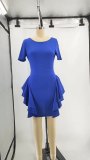 Round Neck Elegant Slim Women's Chic Fashion Dress