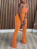 Strapless Slim Sexy Solid Color Women's Two-Piece Pants Set