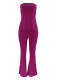 Strapless Slim Sexy Solid Color Women's Two-Piece Pants Set
