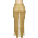 Women Winter Street Mesh Print Bodycon Skirt