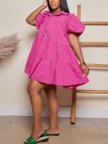 Women Casual bubble sleeve dress