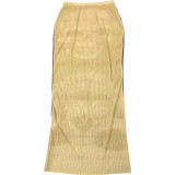 Women Winter Street Mesh Print Bodycon Skirt