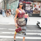 Women Winter Street Mesh Print Bodycon Skirt