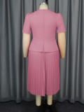 Women Turndown Collar Elegant party pleated dress