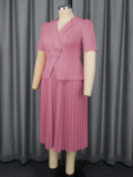 Women Turndown Collar Elegant party pleated dress