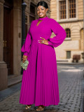 Women hollow Stand Collar lantern sleeve pleated Dress