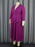 Women Turndown Collar pleated Formal Party pleated Dress