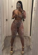 Women Leopard Print Sexy Mesh Two Piece Set