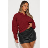 Women's Turndown Collar Loose Pullover Knitting Sweater