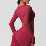 Women Long Sleeve Yoga Clothes with Chest Pads Pilates Running Sports Long Sleeve Top