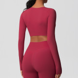 Women Long Sleeve Yoga Clothes with Chest Pads Pilates Running Sports Long Sleeve Top