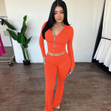 Women's autumn and winter zipper long sleeve hooded top Bell Bottom pants fashion Casual two piece set