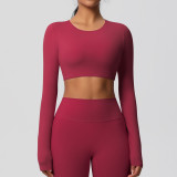 Women Long Sleeve Yoga Clothes with Chest Pads Pilates Running Sports Long Sleeve Top