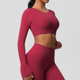 Women Long Sleeve Yoga Clothes with Chest Pads Pilates Running Sports Long Sleeve Top