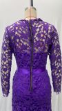 Women Lace Hollow Long Sleeve Stand Collar Lace Irregular Dress