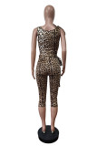 Leopard Printed Lace-Up Cropped Top Pants Two Piece Set