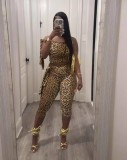 Leopard Printed Lace-Up Cropped Top Pants Two Piece Set