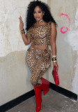 Leopard Printed Lace-Up Cropped Top Pants Two Piece Set