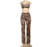 Women Spring Sexy Leopard Top and Pants Two-piece Set