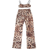 Women Spring Sexy Leopard Top and Pants Two-piece Set