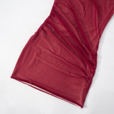 Women Round Neck Sexy See-Through Mesh Bodycon Dress