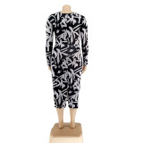 Plus Size Women Summer Print Dress