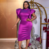 Women Style Bell Bottom Sleeve Backless Formal Party Dress