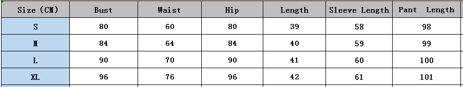 Women Spring Mesh Printed Round Neck Long Sleeve Top and Pants Two Piece Set