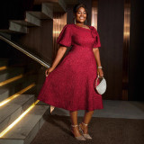 Jacquard Plus Size Fashion Formal Party A-Line Dress