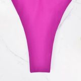 Two Pieces Swimsuit Women Solid Color Sexy Bikini