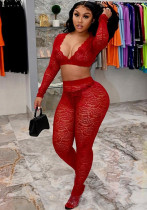 Women's Sexy V-Neck Tight Slim See Through Lace Two-Piece Pants Set Women's Sexy V-Neck Tight Slim See Through Lace Two-Piece Pants Set