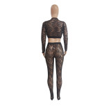 Women's Sexy V-Neck Tight Slim See Through Lace Two-Piece Pants Set