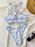 Sexy Print Halter Neck Low Back Bikini Swimsuit