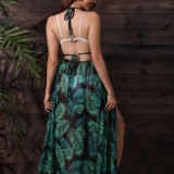 Women retro Halter Neck printed bohemian chiffon Holidays beach dress