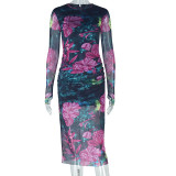 Women Elegant Printed Bodycon Round Neck Long Sleeve Dress