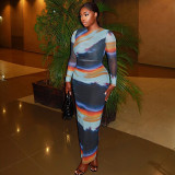 Women Printed Round Neck Long Sleeve Bodycon Dress
