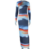 Women Printed Round Neck Long Sleeve Bodycon Dress