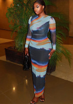 Women Printed Round Neck Long Sleeve Bodycon Dress