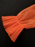 Women Round Neck Lantern Sleeve Party Formal Party Dress