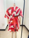 Autumn V-Neck Loose Bat Sleeves Print Dress Women's Clothing