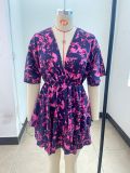 Autumn V-Neck Loose Bat Sleeves Print Dress Women's Clothing