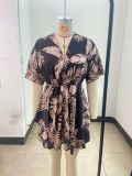 Autumn V-Neck Loose Bat Sleeves Print Dress Women's Clothing
