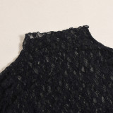 Autumn And Winter Sexy Long Sleeve Round Neck See-Through Lacemesh Women Long Dress