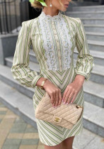 Career Women's Striped Lace Dress