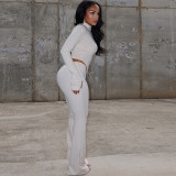 Women Pleated Zipper Solid Long Sleeve Stand Collar Crop Top and Long PantsTwo Piece Set